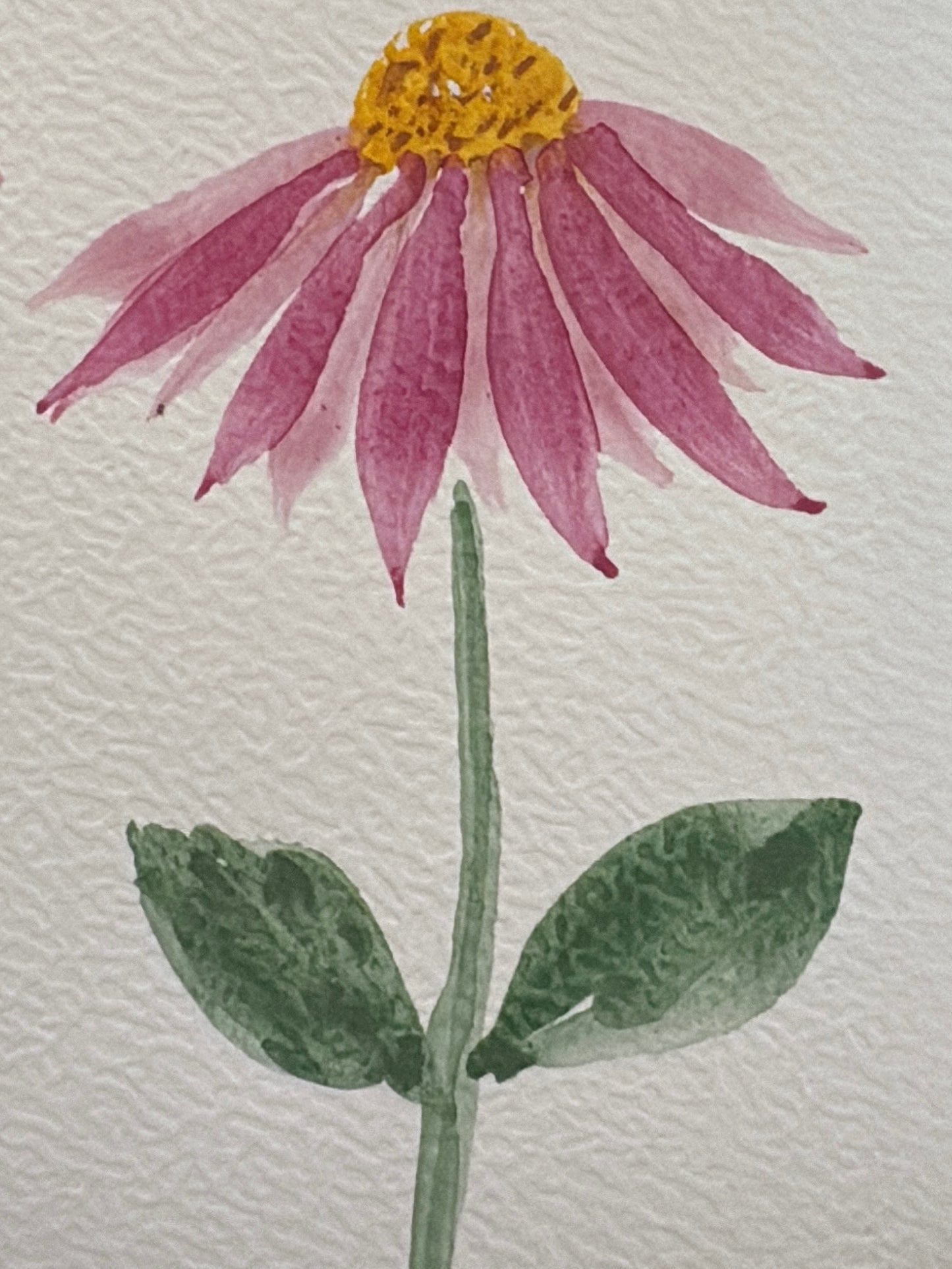 TALLER de ACUARELA FLORAL SÁBADO 15 NOVIEMBRE