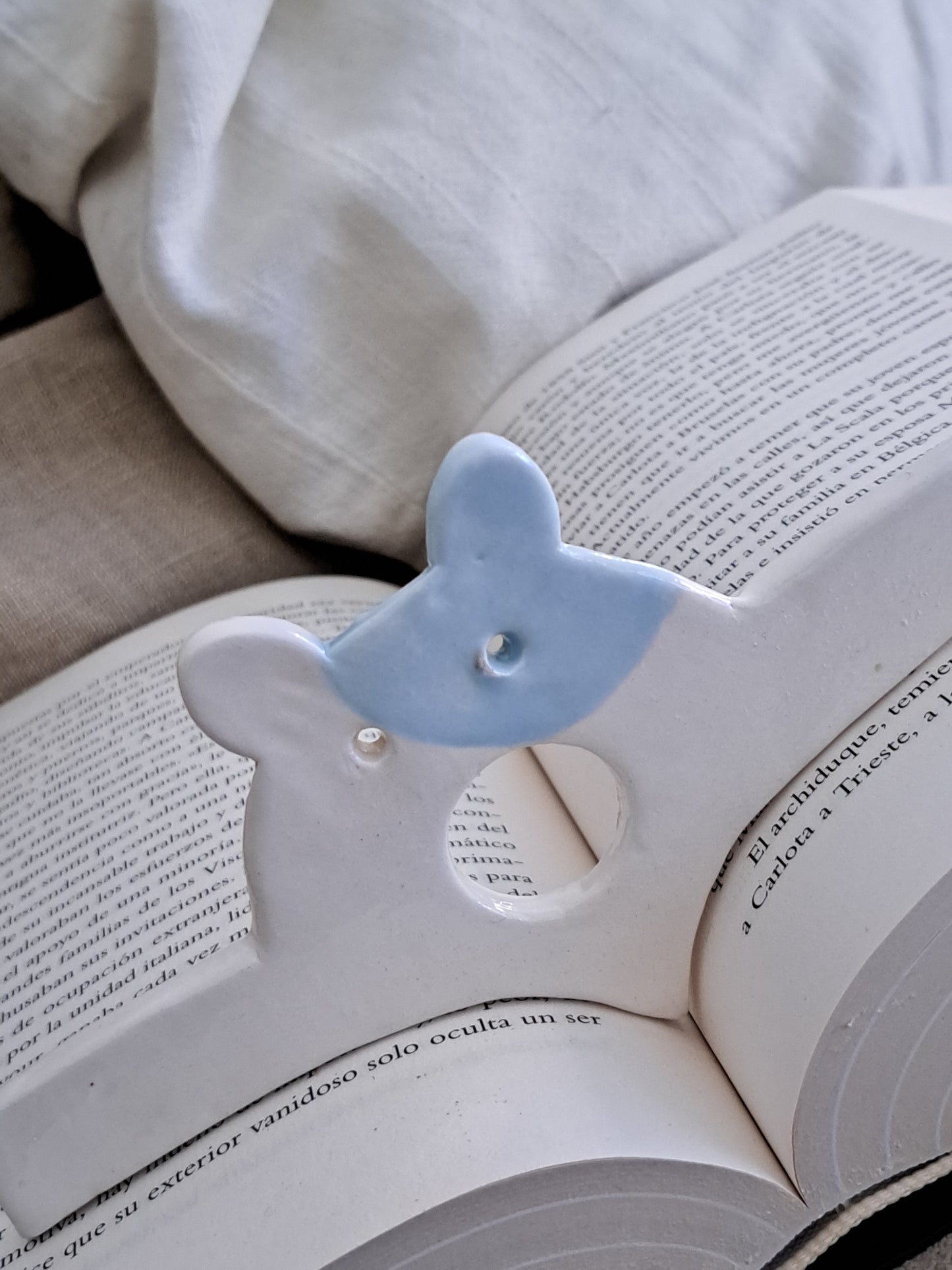 ABRE PÁGINAS DE LECTURA