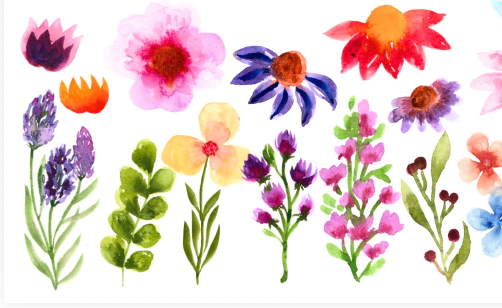 TALLER de ACUARELA FLORAL SÁBADO 15 NOVIEMBRE