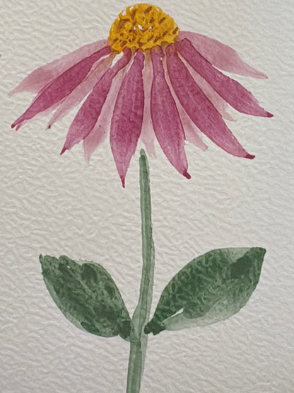 TALLER de ACUARELA FLORAL SÁBADO 15 NOVIEMBRE